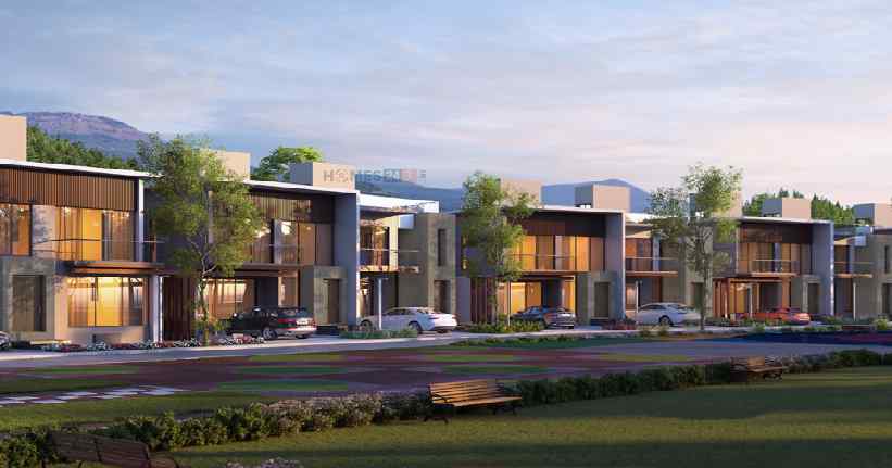 Pharande Vaarivana Cover Image